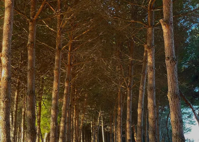 شقة - Vicino Al Mare, Lontano Dalla Ferrovia بينيتو